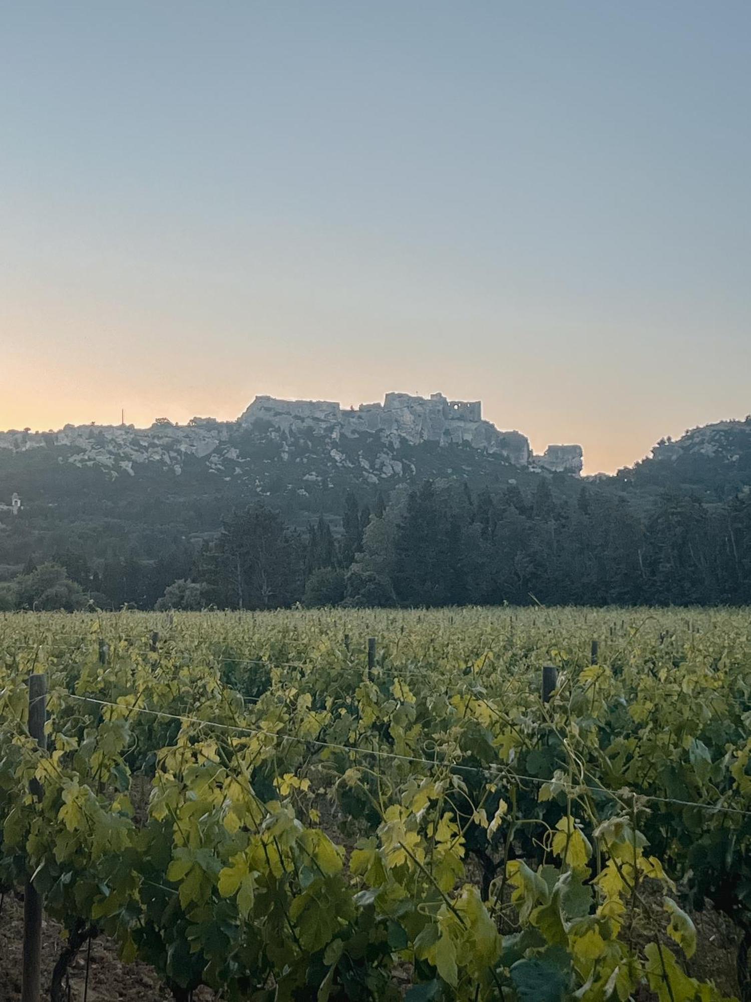 Hotel Les Magnanarelles Maussane les Alpilles Eksteriør bilde